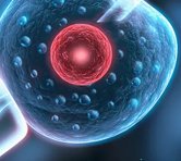 2026年梅毒患者在新疆佳音医院做三代试管可以吗？流程是怎么样的？