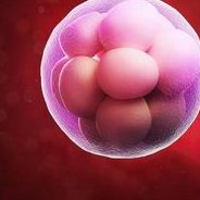 陕西哪里做试管助孕比较好？怎样选择好的试管医院