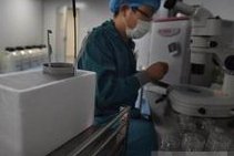 广州三代试管比较好的私人医院推荐，哪家医院值得你选择？